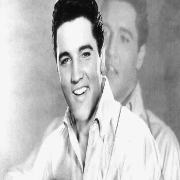 Heartbreak Hotel – Elvis Presley