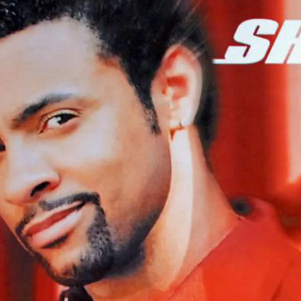 It Wasn't Me – Shaggy