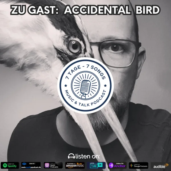 #3.17 Zu Gast: ACCIDENTAL BIRD