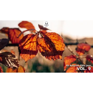 Autumn Cafe Jazz 🍂 4 Hours Warm Jazz for Study & Slow Mornings | Vol. 9