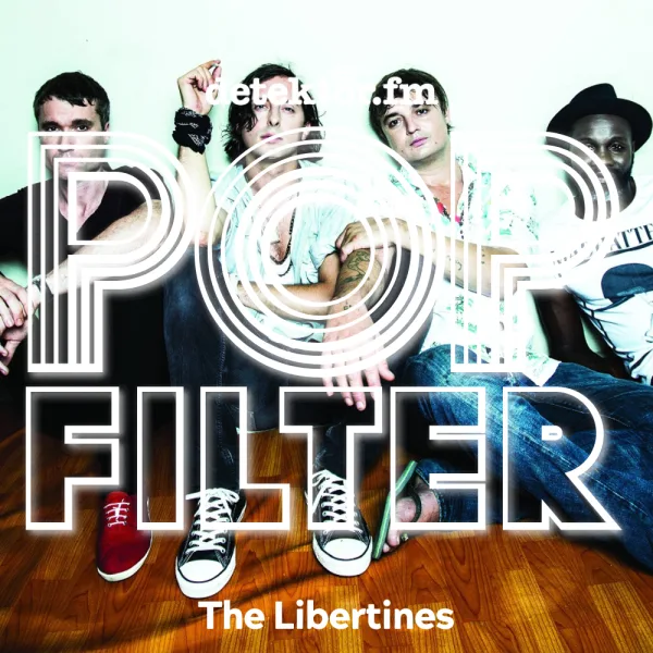 The Libertines ? Night Of The Hunter