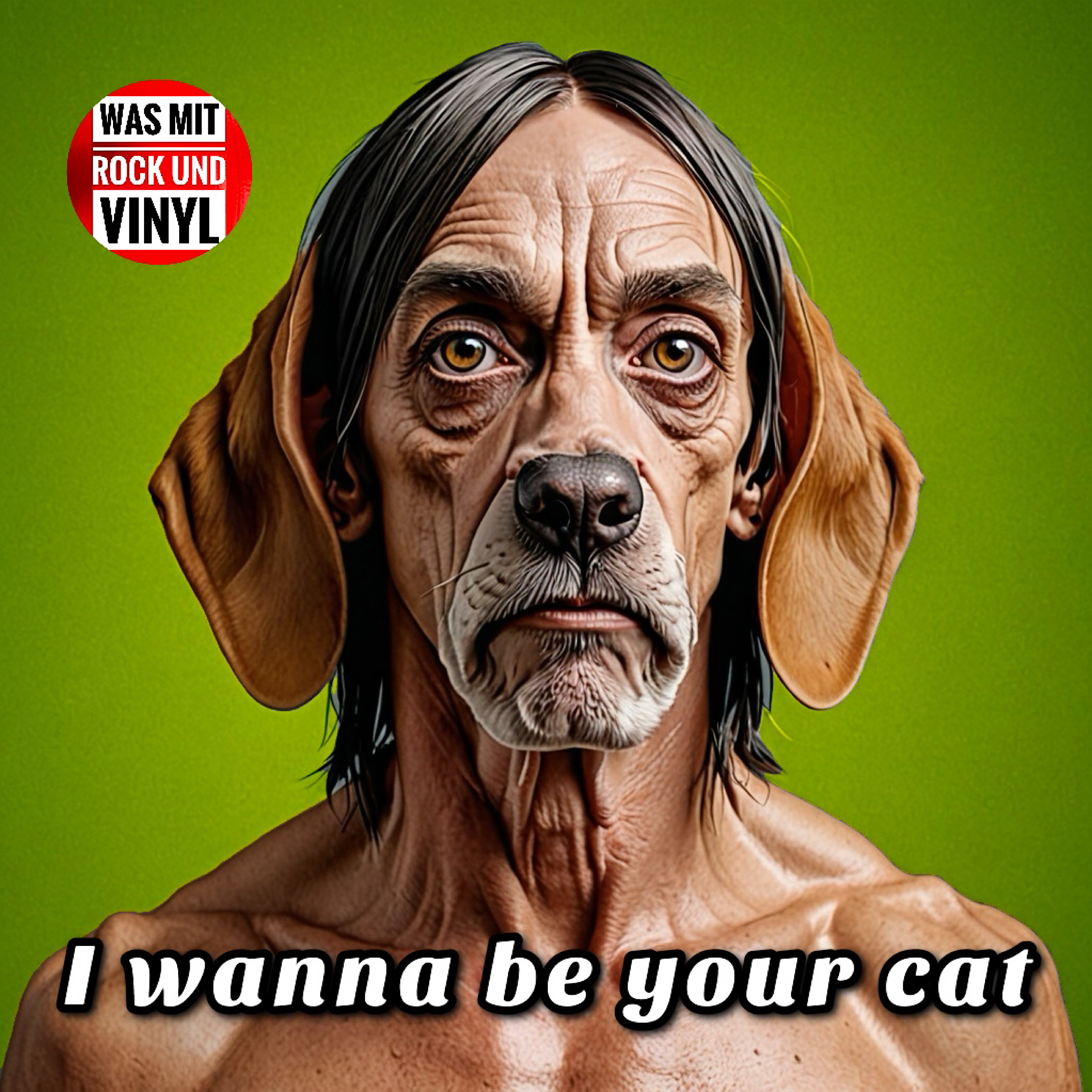 #136 Blood, guts and punk - Music the Stooges taught us episode artwork